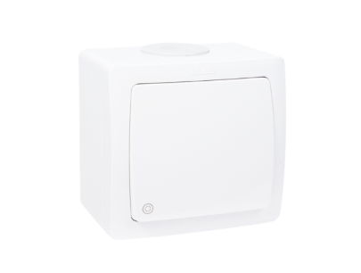 Lap Bouton poussoir lumineux apparent Aqua
